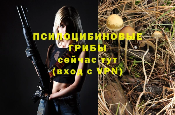 Альфа ПВП Алексеевка