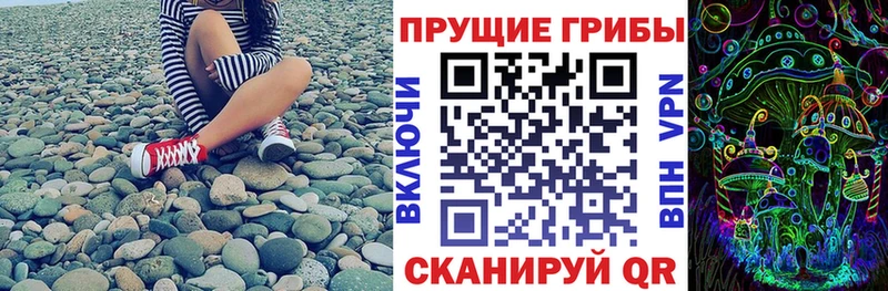 цена   Чехов  darknet Telegram  Галлюциногенные грибы Magic Shrooms 